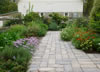 East side of the herb garden at Meadowbrook Park